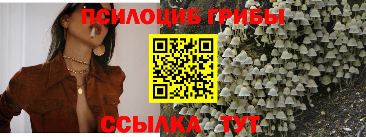 наркошоп  Вход с VPN  Обь  Галлюциногенные грибы мухоморы 