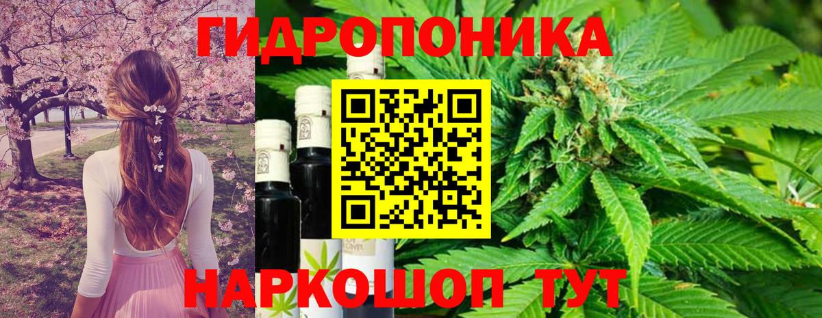 Обь  МАРИХУАНА Ganja  Вход с VPN  Марихуана Amnesia 